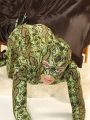 Python lucie is crawling on sofa