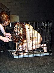 Caged Bdsm And Pain